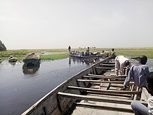 Yobe State River