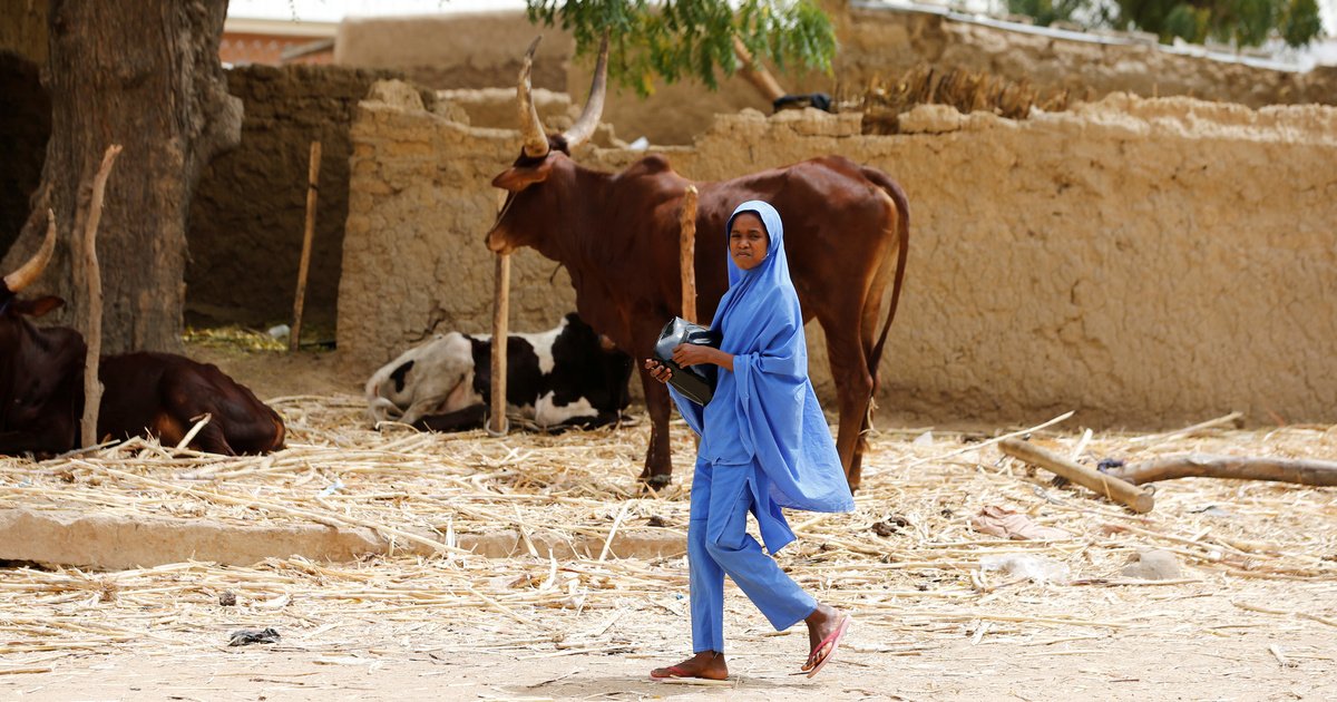 Yobe State Village